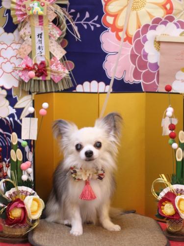 20240117ココアくん